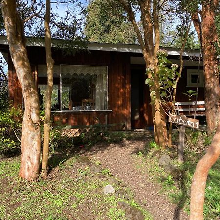 Cabanas El Bosque Patagonico Frutillar Exteriör bild