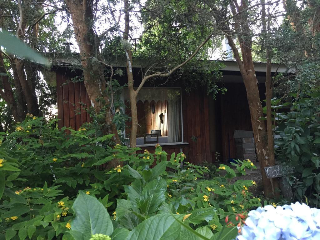 Cabanas El Bosque Patagonico Frutillar Exteriör bild